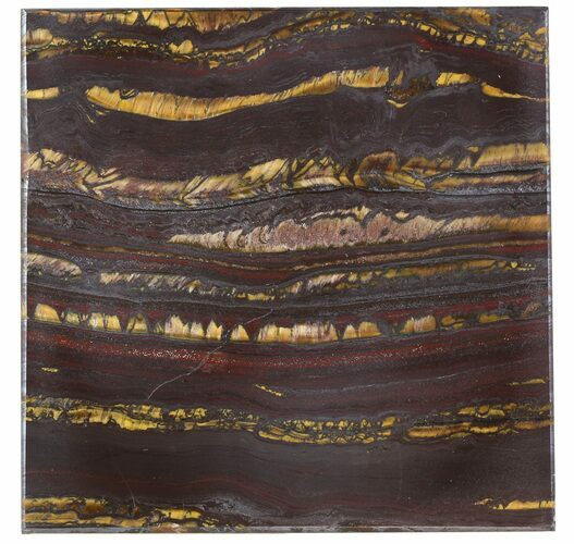 Tiger Iron Stromatolite Shower Tile - Billion Years Old #48802